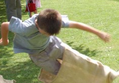 Entertainments at the fetes