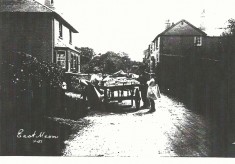 Old photographs (Wheeler collection)
