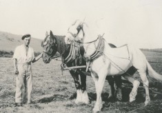 Old photos