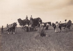 Old photos