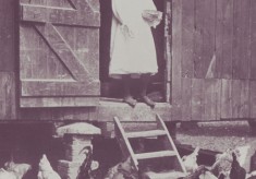 Farming images