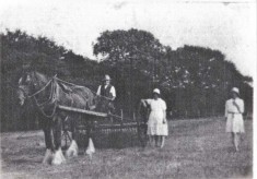 Old photos