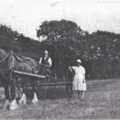 Horse and cart with man and two women web Horse and cart with man and two women