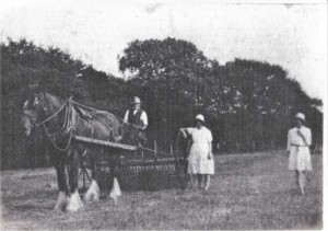 Horse and cart with man and two women 