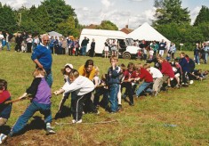Country Fair (Wheeler Collection)