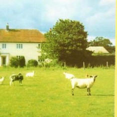 Card promoting Oxenbourne Farm Country Weekend offer.
