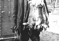 Farming images