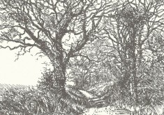 Views of Village for PCs