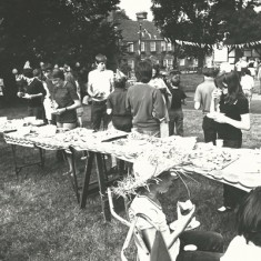 Village tea on Glenthorne Meadow.  