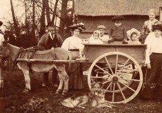 Old photos