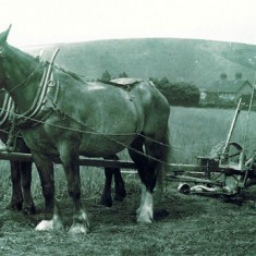 William Hope Lambert, 1914 William Hope Lambert at Pastures Farm, 1916