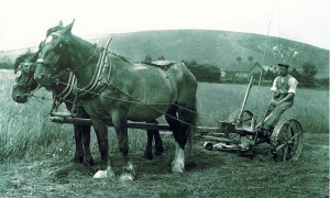 William Hope Lambert at Pastures Farm, 1916