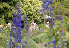 Garden Club