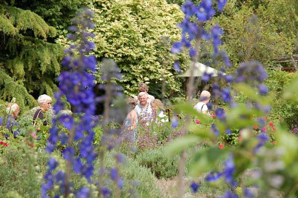 Crowd through Delphinia at Tudor House
