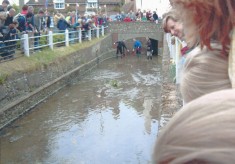Golden Jubilee 2002