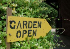 Garden Club