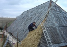 Thatching