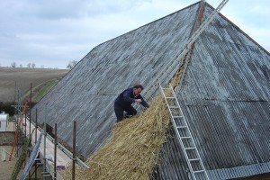 Lyle Morgan thatching barn at Lower Farm.