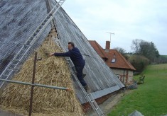 Thatching