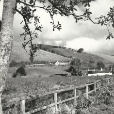 Old School and field. Old School and field, Frogmore cottages on right.