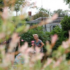 Susan Hull at Bottle Cottage