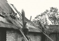 Thatching (Ryder collection)