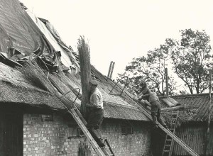 Thatchers on roof 
