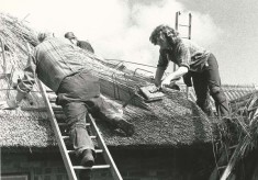 Thatching (Ryder collection)