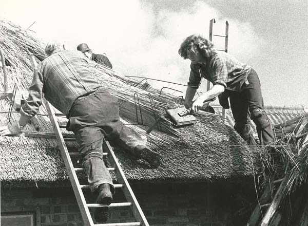 Thatchers on roof Thatchers on roof