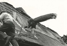 Thatching (Ryder collection)