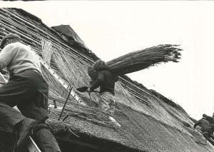 Thatching