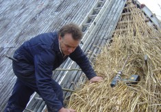 Thatching