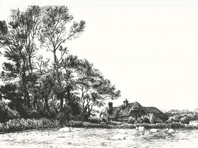 Lower Farm