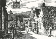 Views of East Meon
