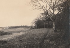 Excavation 1919 - 1923