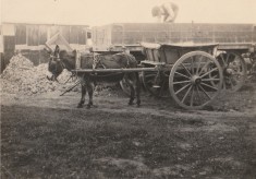 Foundation work, 1921