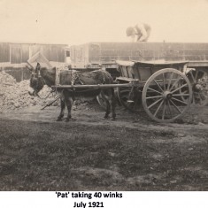 Foundation work, 1921