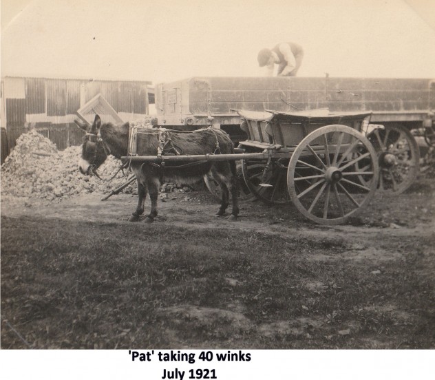 Foundation work, 1921