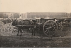 Foundation work, 1921