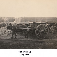 Foundation work, 1921