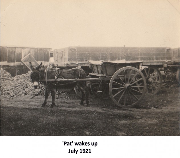 Foundation work, 1921