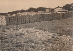 July to November 1921