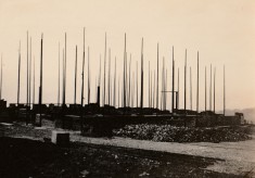 July to November 1921