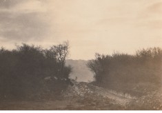 Taking shape March 1922