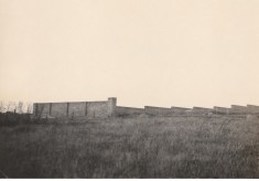 Kitchen garden, December 1922