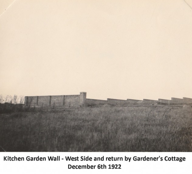 Kitchen garden, December 1922