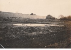 Kitchen garden, December 1922