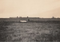 Kitchen garden, December 1922