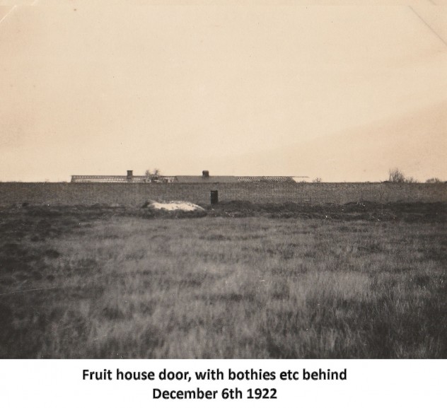 Kitchen garden, December 1922