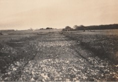 Kitchen garden, December 1922